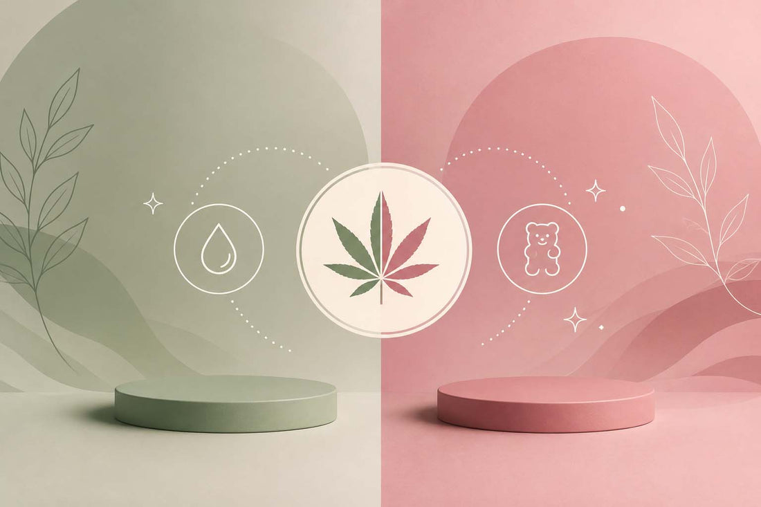 CBD olej vs. CBD gummies: Jaký je rozdíl a co je lepší pro každodenní pohodu?